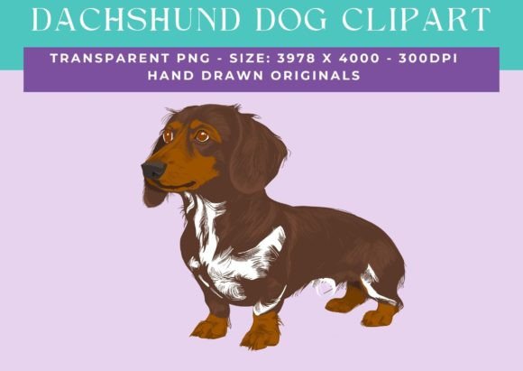 Dachshund Sausage Dog Weiner Clipart: A Versatile Asset for Modern Creators and Businesses